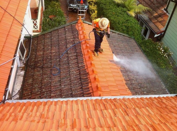 Natural vs. Chemical Roof Cleaning Solutions: Pros & Cons