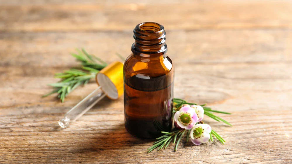 tea tree oil benefits for hair