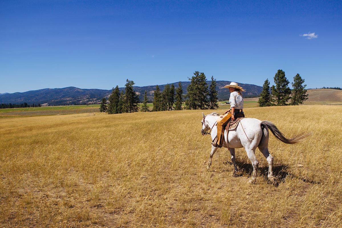 Cowboys, Countrysides, and the Romance of Riding