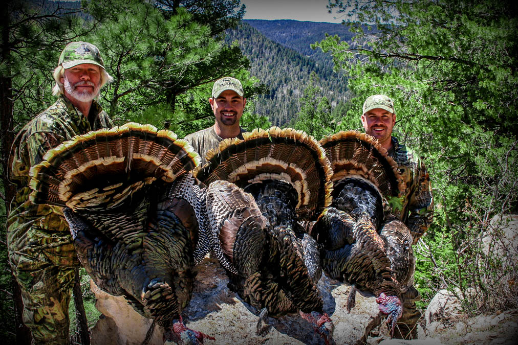 Turkey Hunting on a Budget: Gear Essentials and DIY Tips