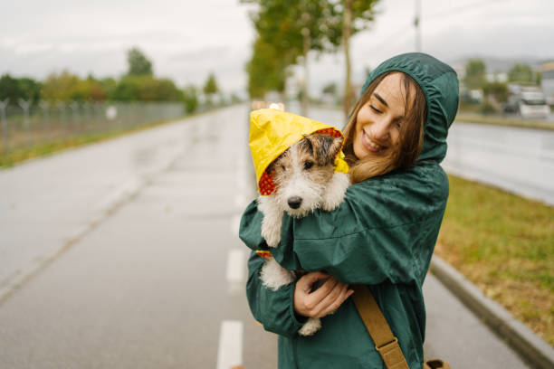 Best Dog Rain Coat