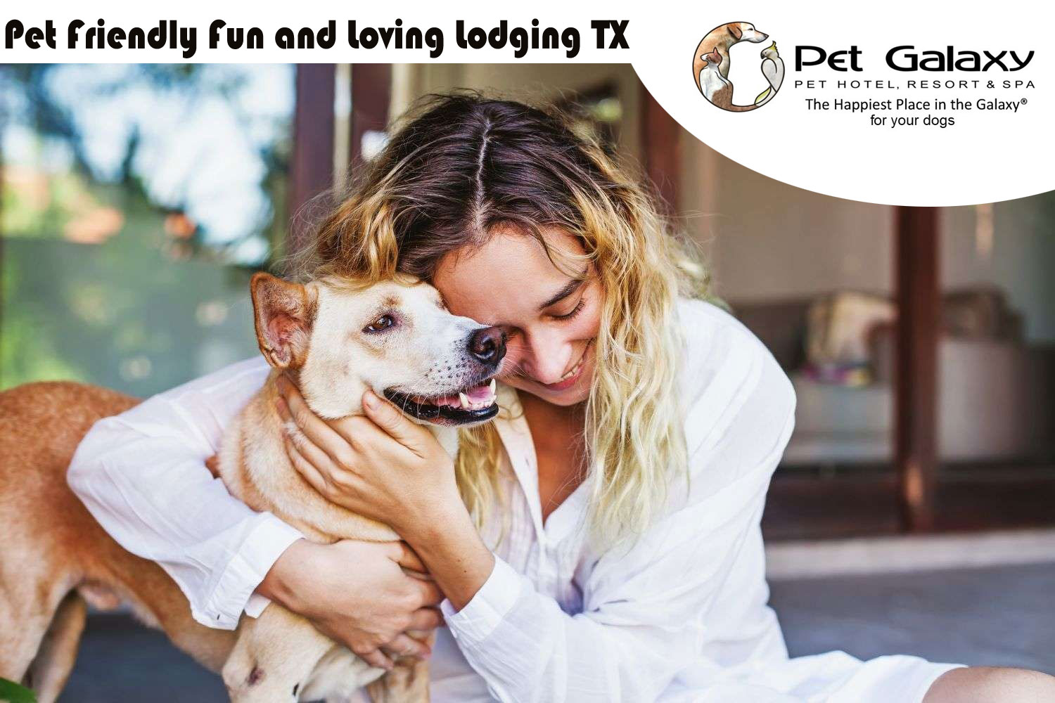 Pet Friendly Fun and Loving Lodging TX