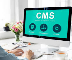 cms development services in australia