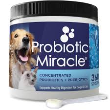 probiotics for dogs