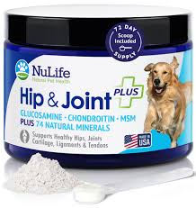 supplements for hip dysplasia in dogs