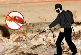 Pest Control Service in Mira Road