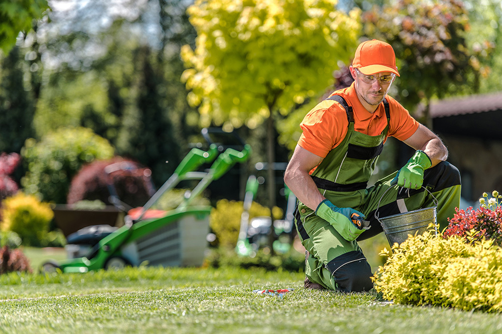 Gardeners Your Trusted Partner for Beautiful and Healthy Gardens