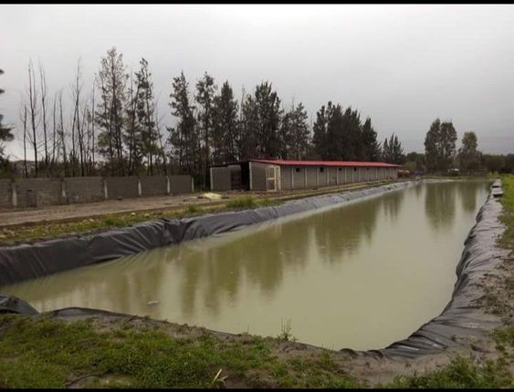 Pond Lining Sheets