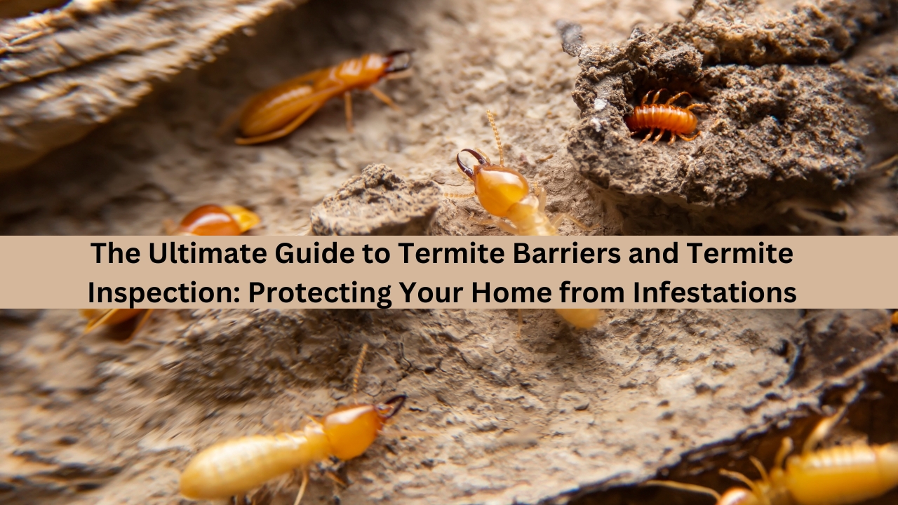 Termite Barriers and Termite Inspection