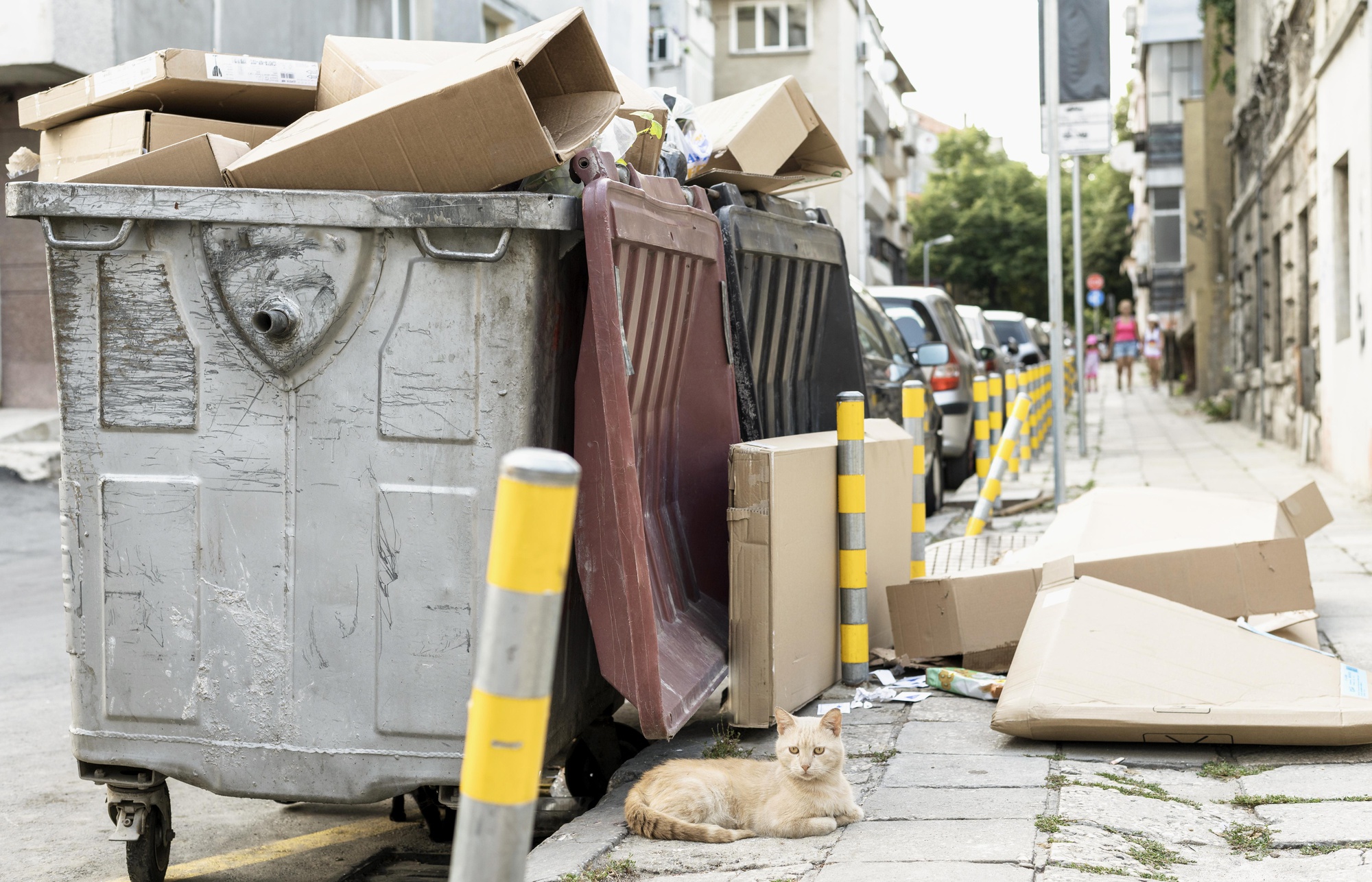 Simplifying Your Life with Junk Removal Portland