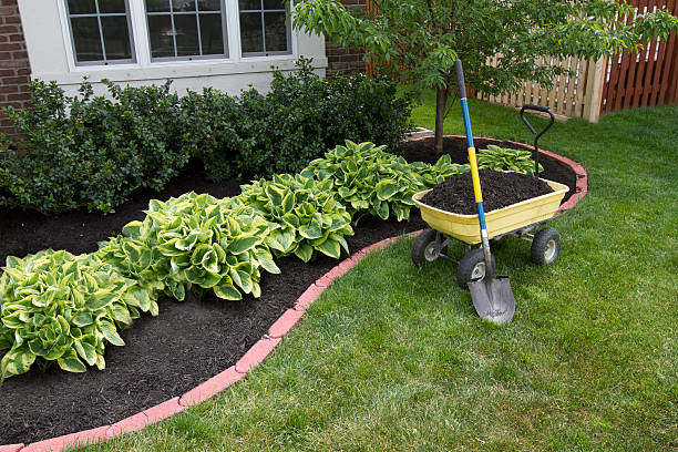 "Essential outdoor garden maintenance tips for healthy growth, covering soil care, watering, pruning, pest control, and seasonal garden management."