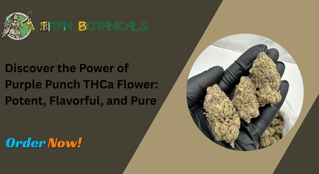 Purple Punch THCa Flower