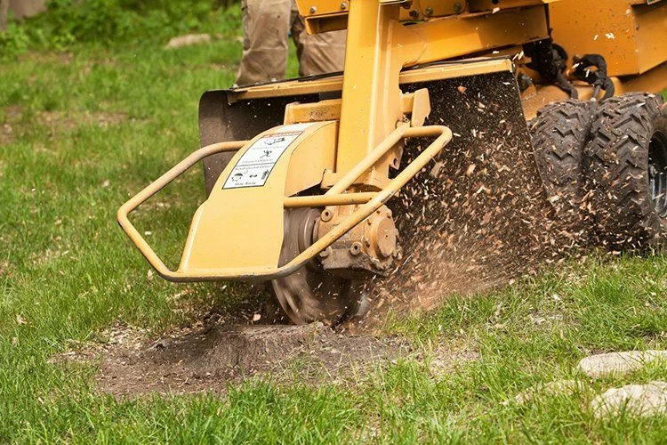 stump removal near me