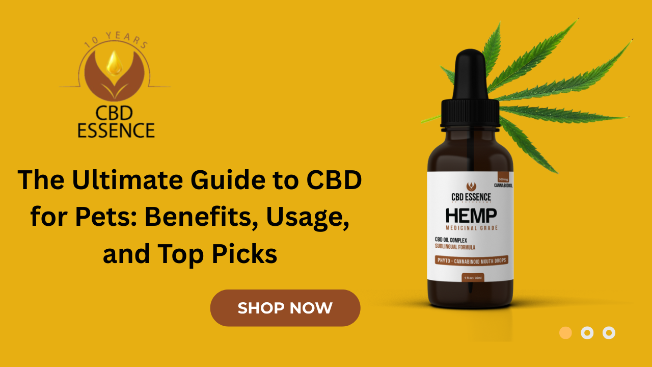 CBD for Pet
