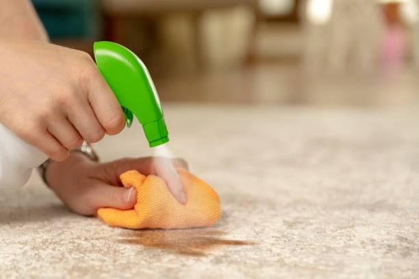 carpet-cleaning