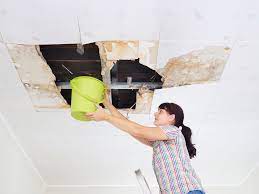 leaking roof repairs sydney
