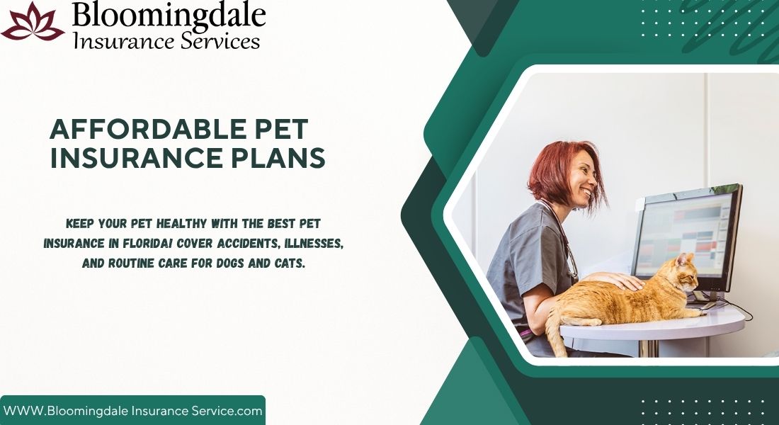 Affordable Pet Insurance Plans