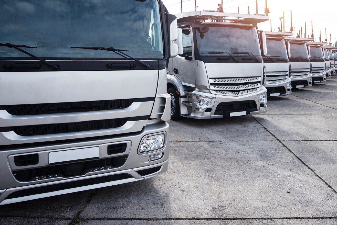 Moving Companies: Efficient Solutions for Your Transport Needs