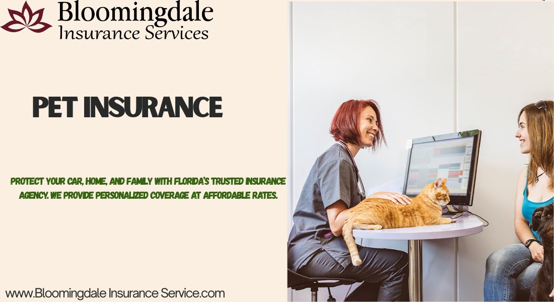 pet insurance