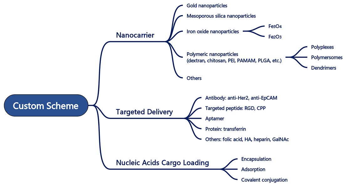 Nucleic Acid Delivery Particle Synthesis