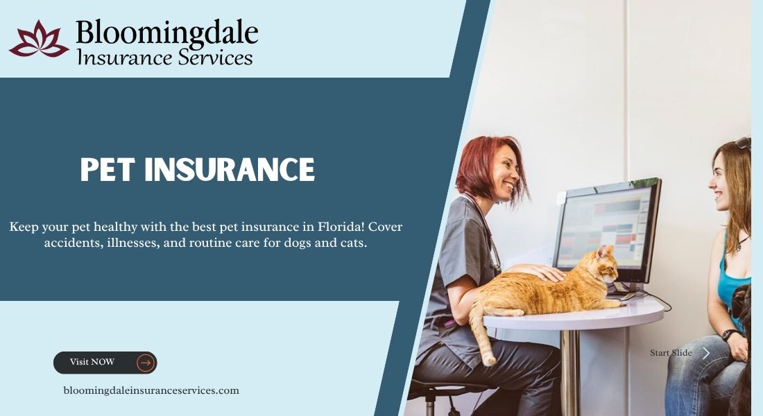 Pet Insurance