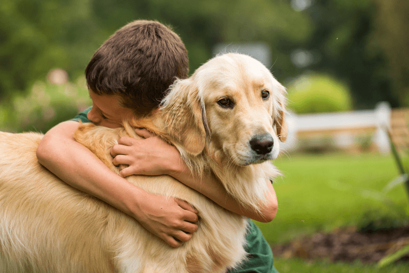 What Makes Retriever Puppies a Great Pet for Families?