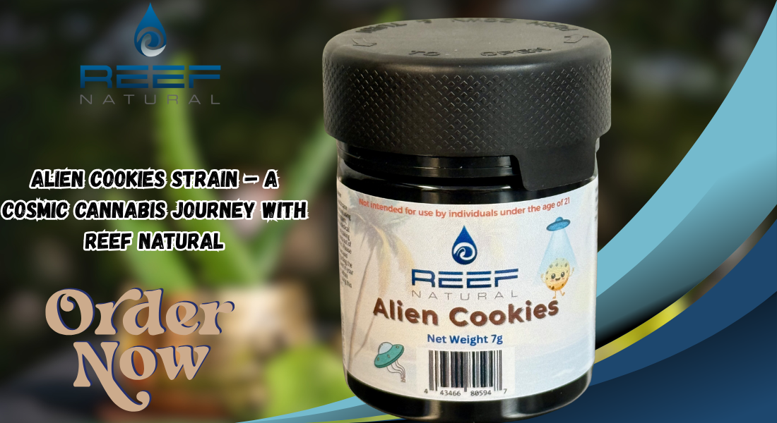 alien cookies