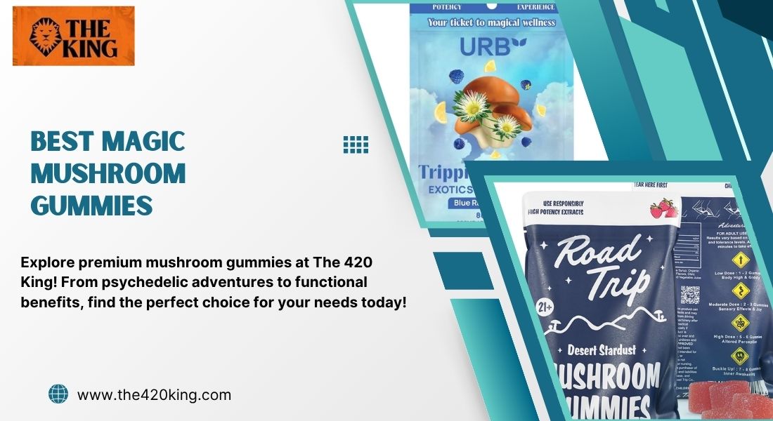Best Magic Mushroom Gummies