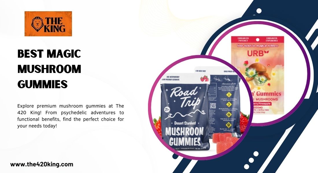 Best Magic Mushroom Gummies