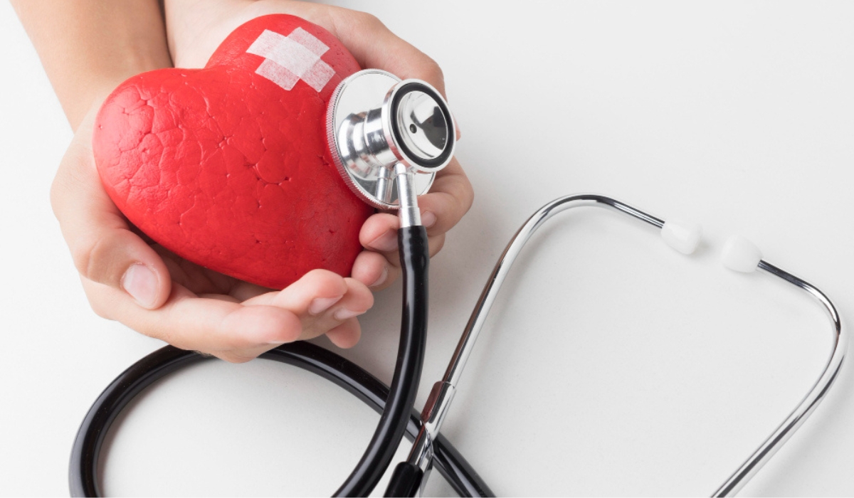 Bridging AI and Human Cognition: The Role of Explainability in Healthcare, Social Media, and Insurance