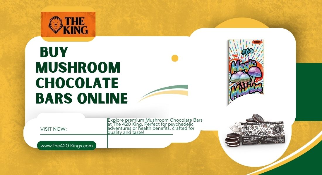 buy mushroom chocolate bars online