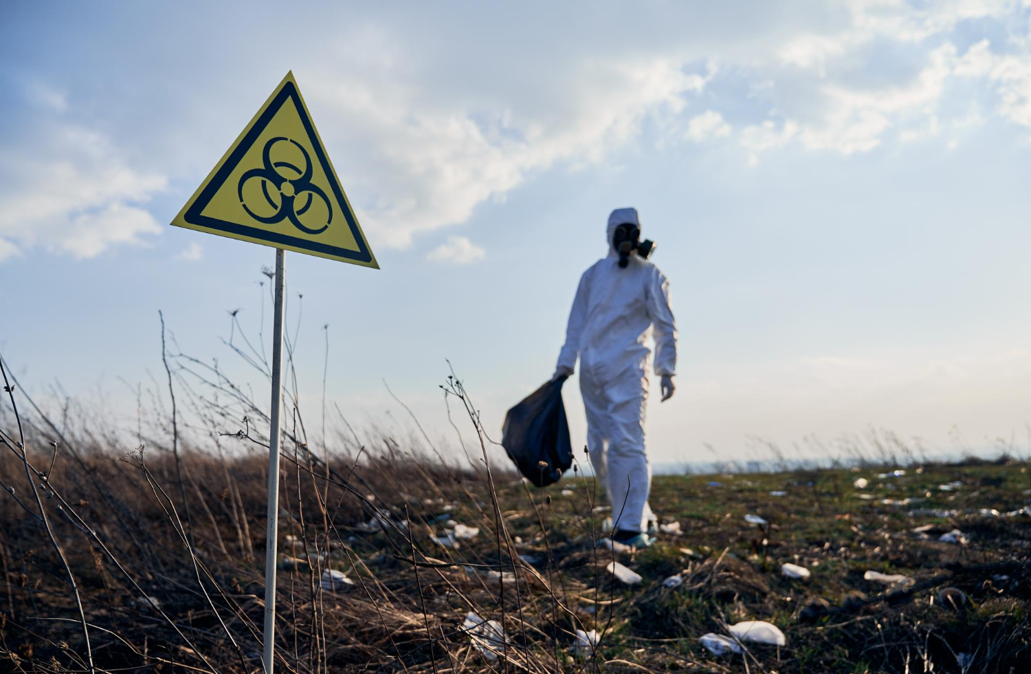 environmental mycotoxin testing