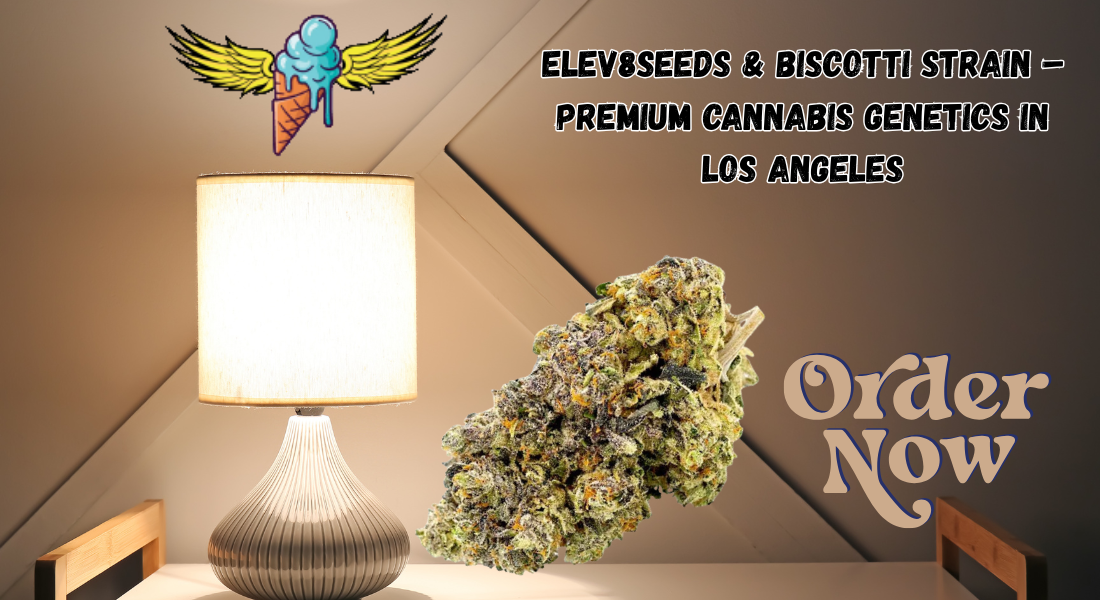elev8seeds