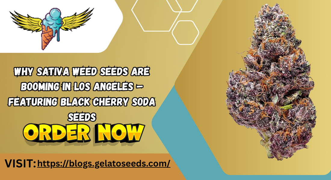 Sativa Weed Seeds
