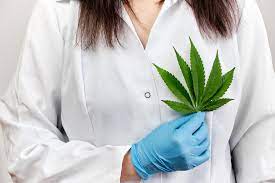 Marijuana Doctor in Fort Lauderdale