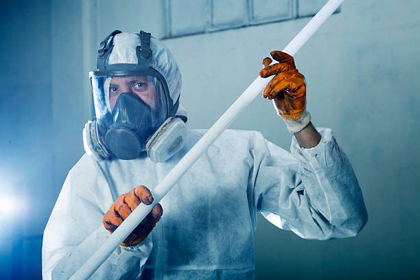 asbestos abatement contractor