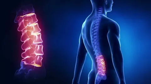 Anatomy and Issues of the Sacral Spine