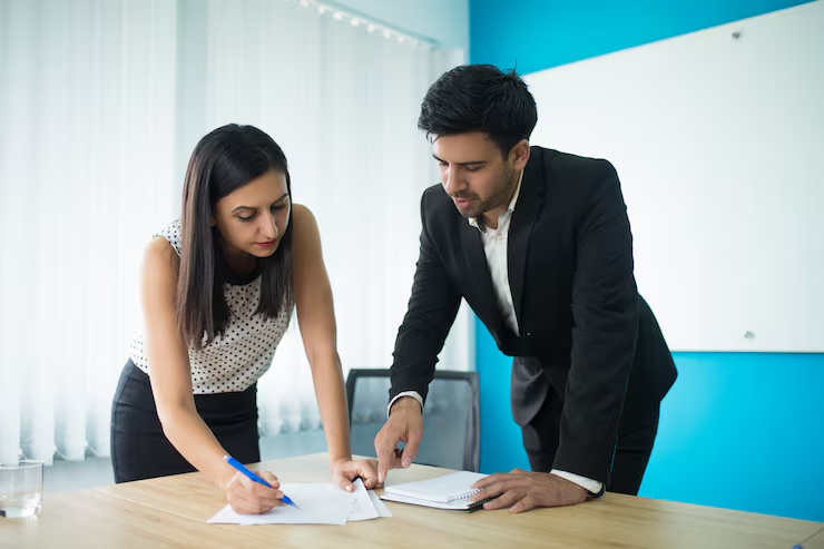 financial controller consultant