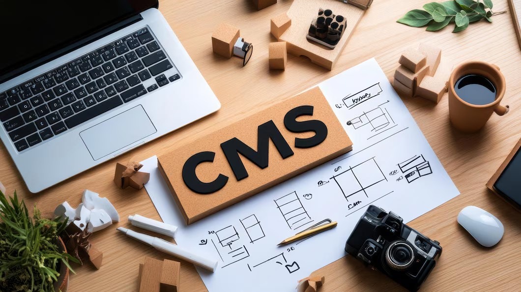 CMS website development