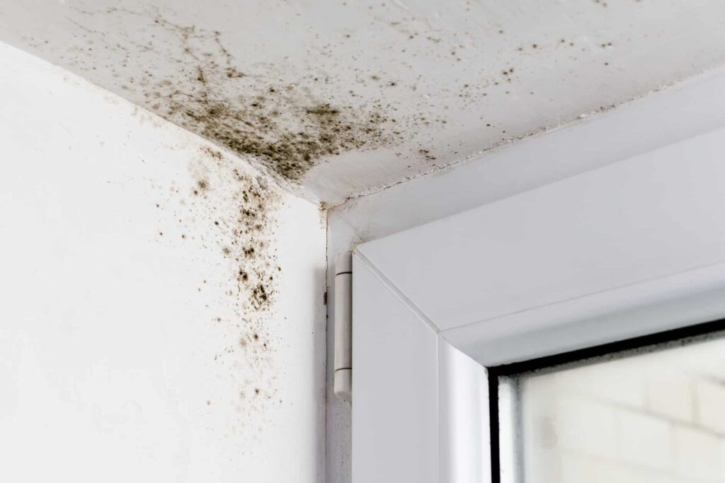 Mold Inspection Atlanta