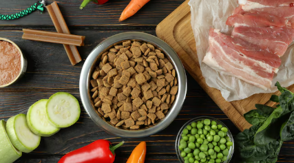best frozen dog food