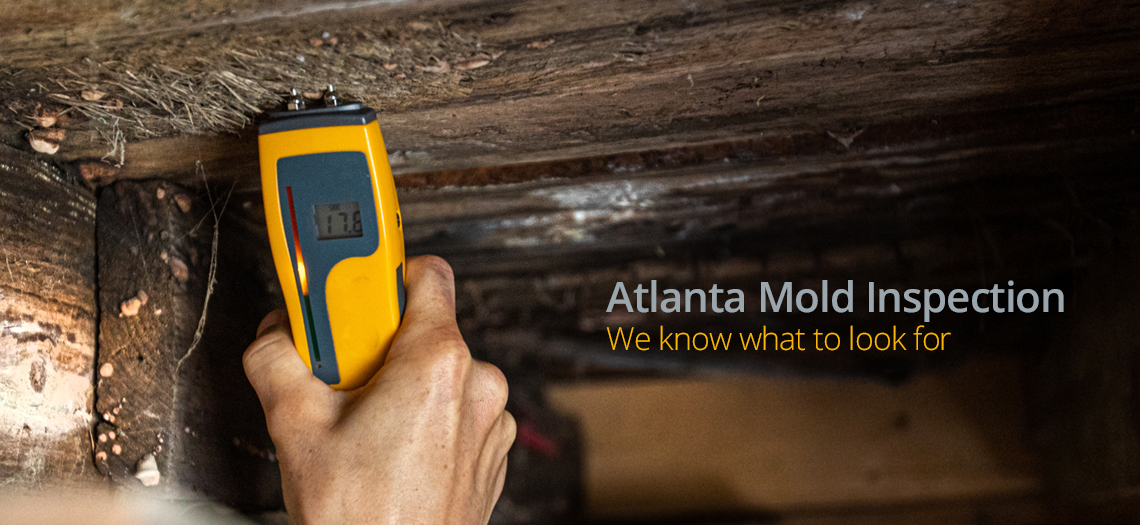 Mold Inspection Atlanta