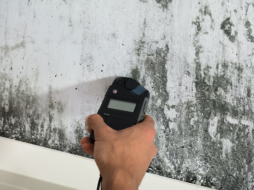 Mold Inspection Atlanta