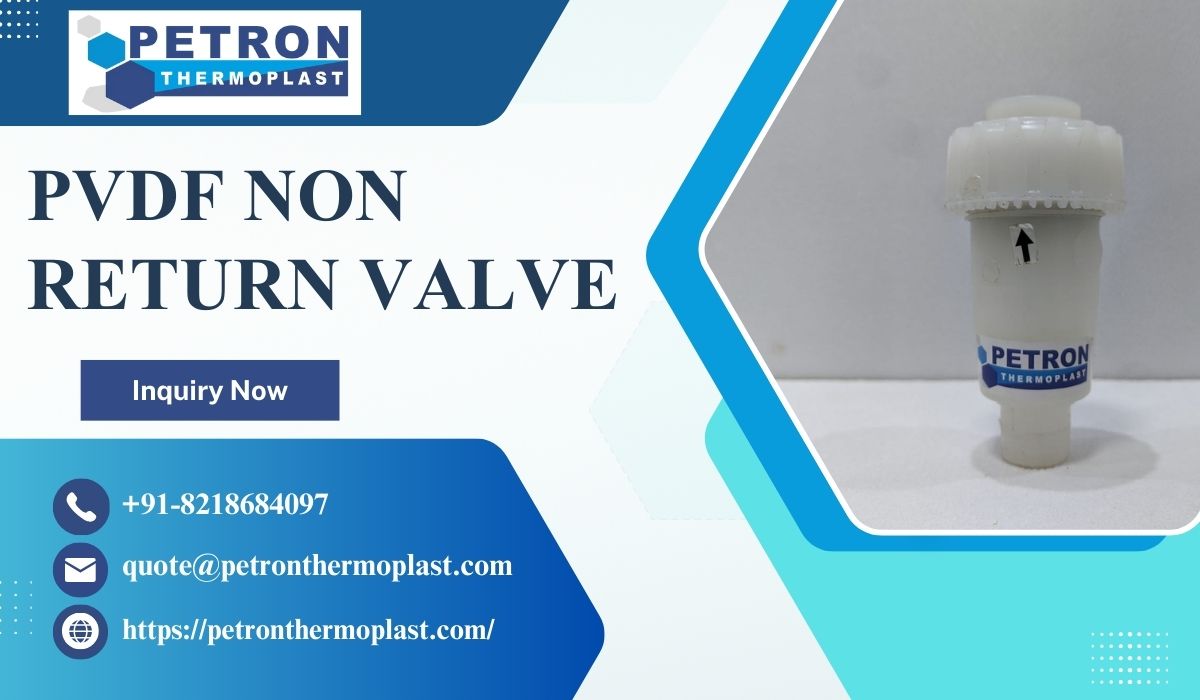 PVDF non return valves