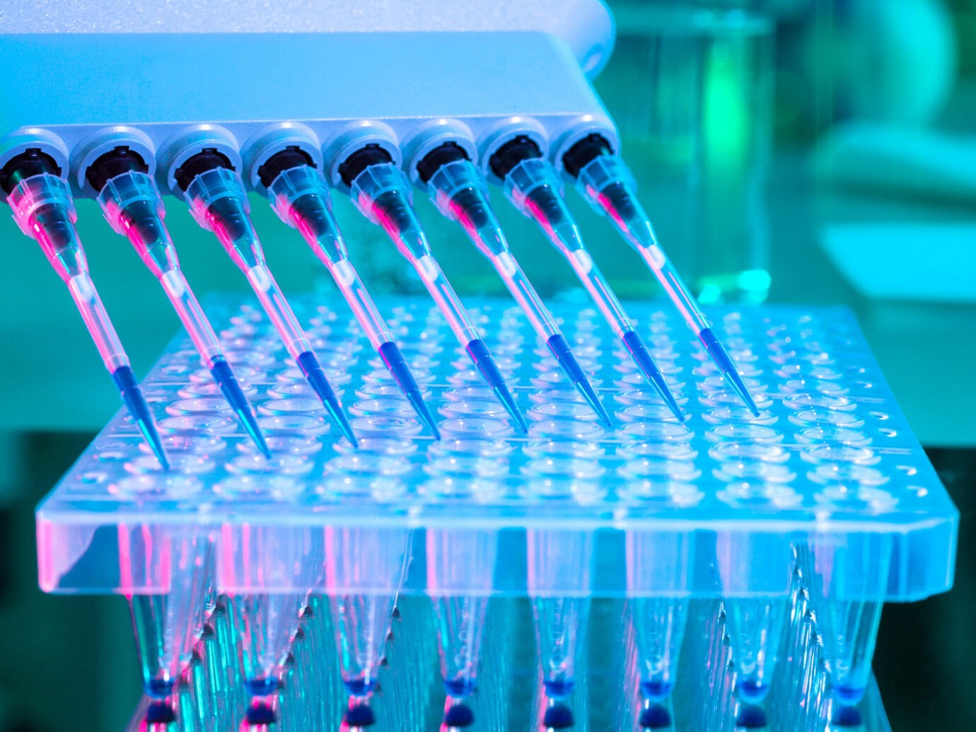 Pharmacokinetics Assay