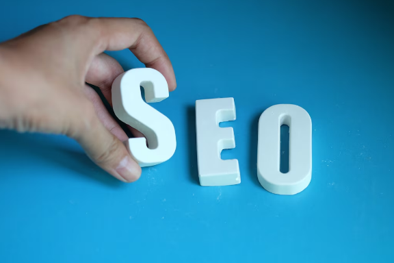 fully managed seo Services