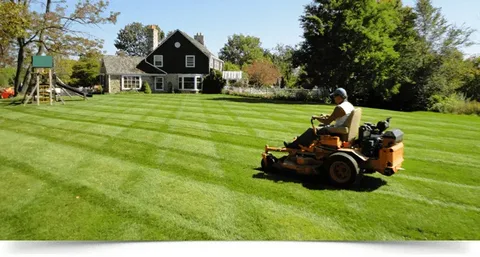 Professional Lawn Maintenance Companies near Me In South Miami, FL