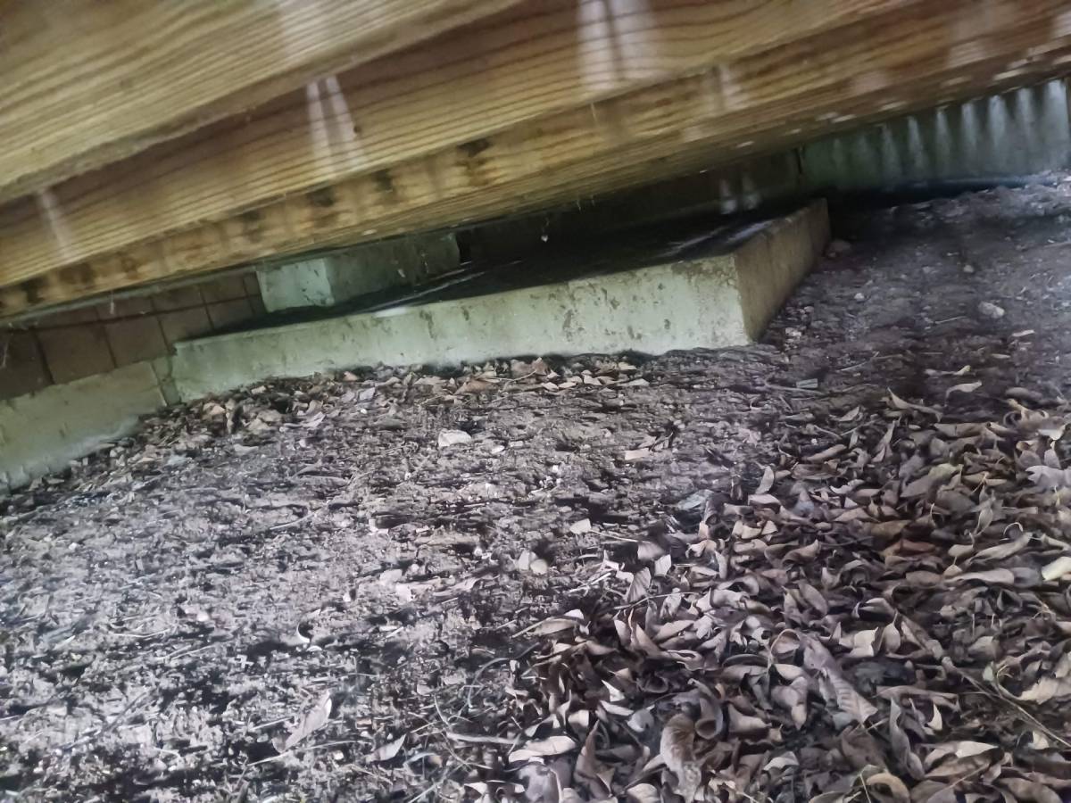 The Complete Guide to Decks in Fort Collins, CO