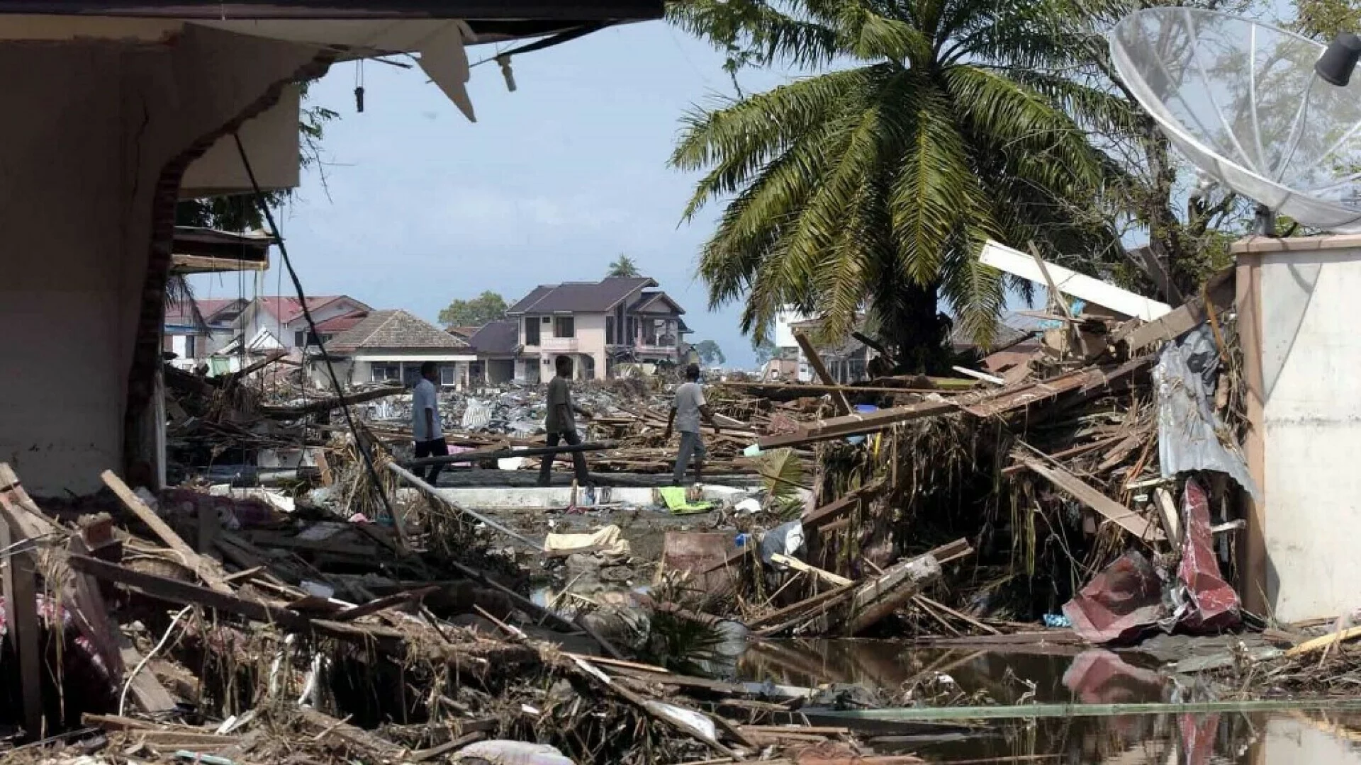 Understanding Hail Damage in Laredo, TX: Causes, Effects, and Insurance Guidance