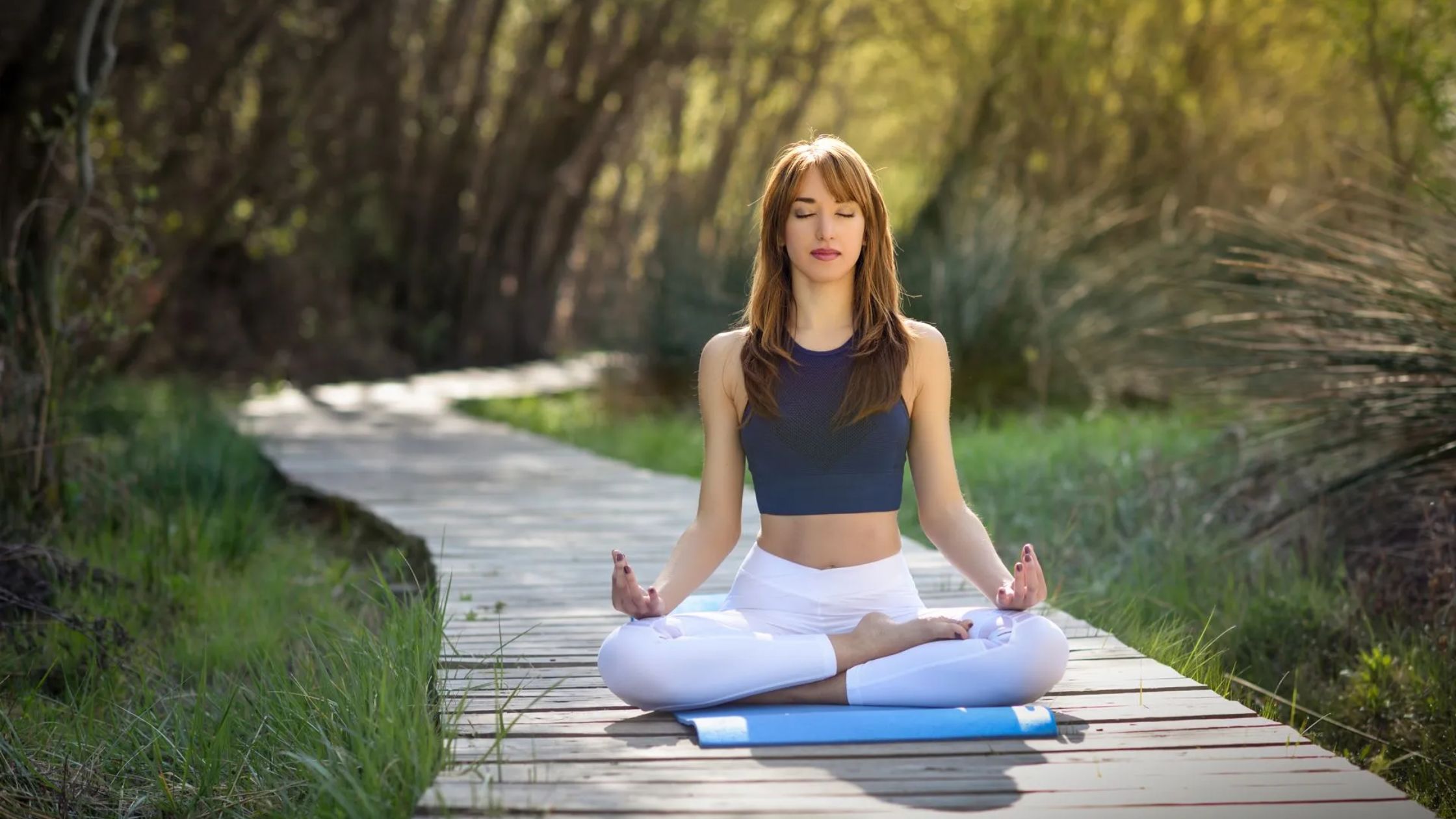 Meditation and Mindfulness Course